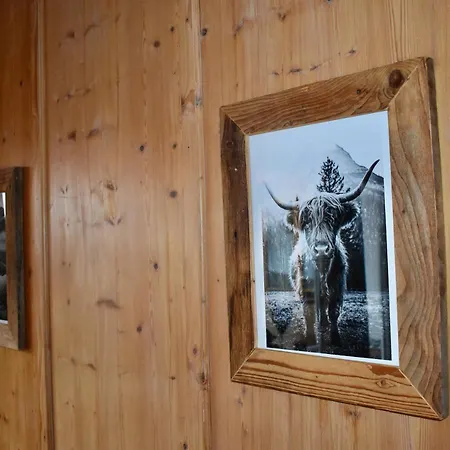 公寓 Pfanzelter 加爾米施-帕滕基興